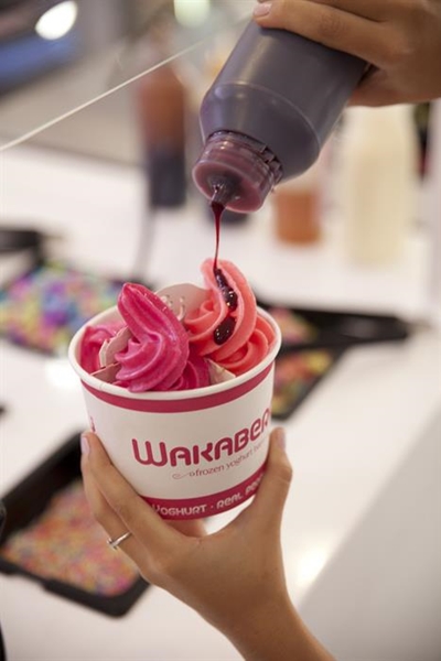 Wakaberry hosts SA's first National Frozen Yoghurt Day